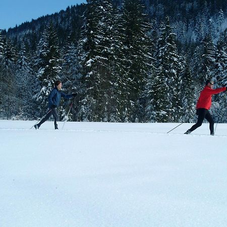 Appartements Ferienwohnungen Alpenblick Faistenau Eksteriør bilde